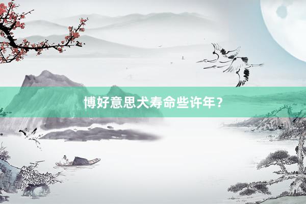 博好意思犬寿命些许年?