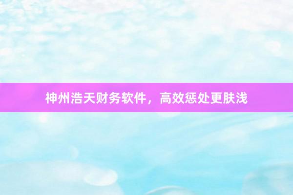 神州浩天财务软件，高效惩处更肤浅